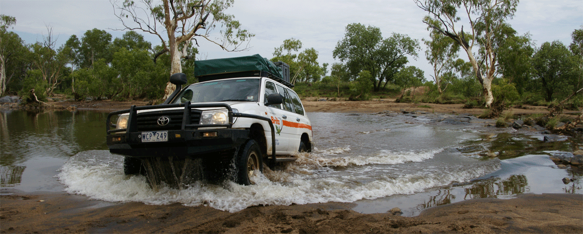 The Bungle Bungles |  All right Martjin Brouwer