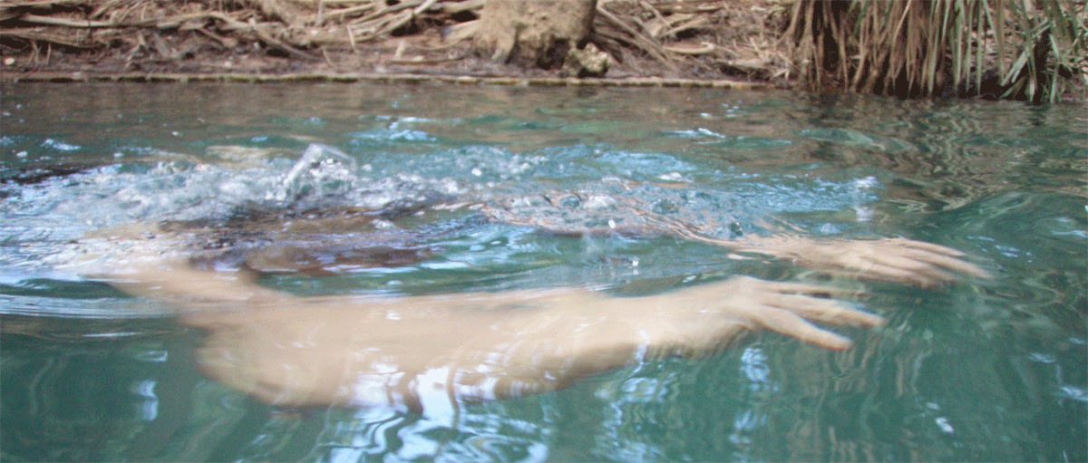 Mataranka Thermal  Hot Springs | Credits Dianne Sng