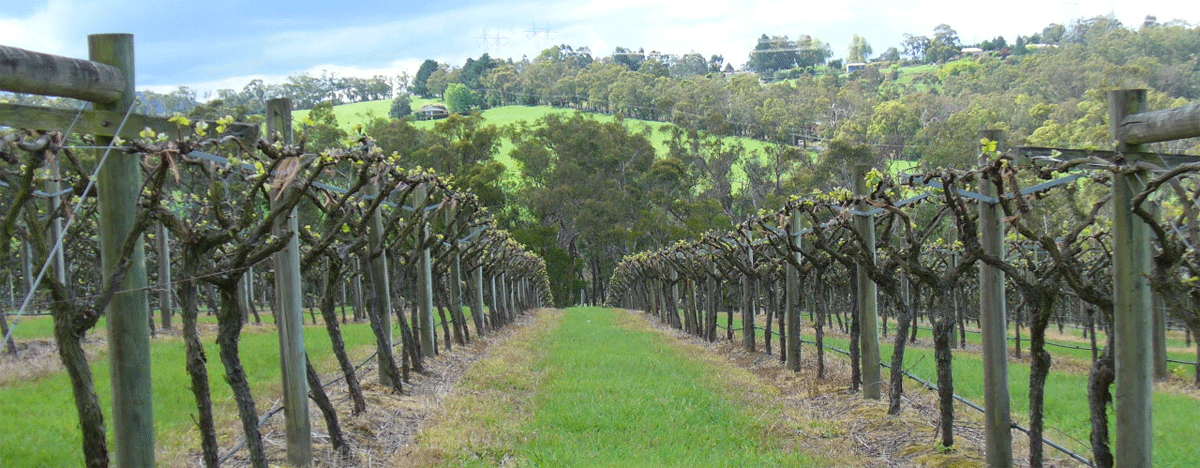 Melbourne Victoria Yarra Valley Launching Place  | Credits RBerude