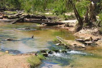 Douglas Hot Springs |  Credits Carmella Alph