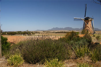 Rottnest island visit   |    Photo:  M.Brouwer