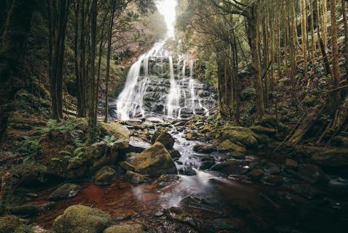  Tasmania central plateau-Nelson Falls    |   Photo: Tasmania Tourism