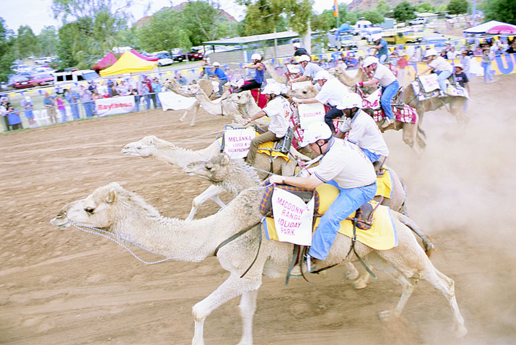 Alice Springs Camel Cup - 2004 | Credits 6738-NTTC