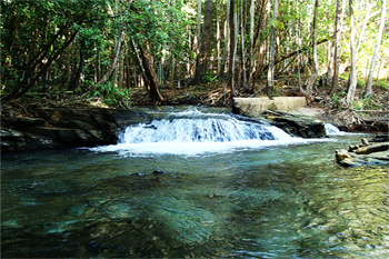 Berry Springs  on the Stuart Highway  |  Credits Parks Australia