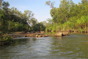 Douglas river esplanade | Credits  Parks Australia