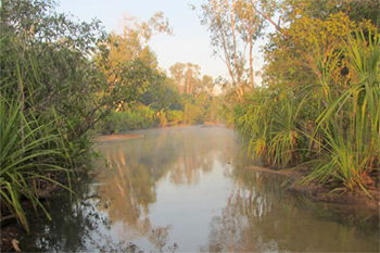 Douglas river esplanade | Credits  Parks Australia