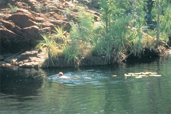 Swimming at the top of Edith Falls  | credits NTTC30103010