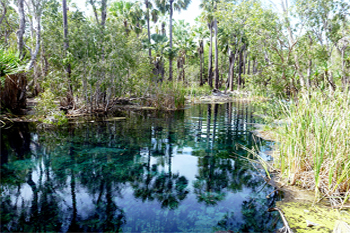 Bitter Springs | Credits Parks Australia