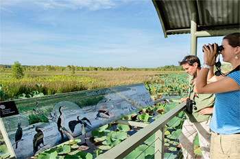 Fogg dam conservation viewing area | Credit Parks Australia