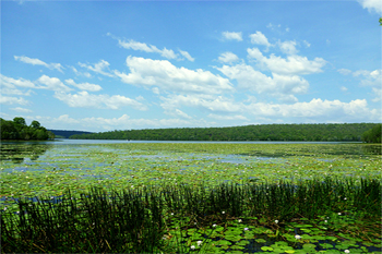 Manton Dam  |  Credit Parks Australia