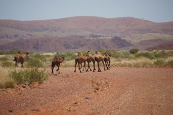 Marble Bar outback and very remote but it's the real Australia | Credits MBrouwer