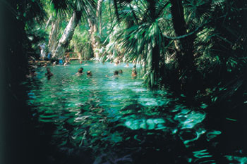 Mataranka Thermal Hot Springs | Credits 3018NTTc