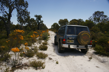 Moore National Park -scenic road trip |  Credits MBrouwer