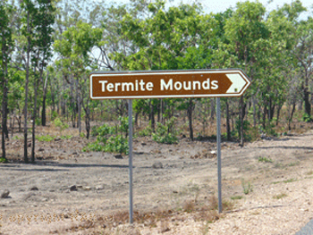Termite Mounds road side turn in stop on the Arnhem Highway  | Credits RAB