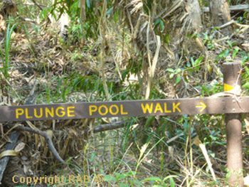 Maguk Plunge Pool  |  Credits Rob Berude