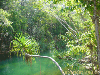 Maguk Plunge Pool  |  Credits Rob Berude