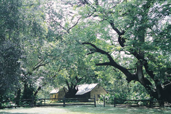 Springvale Homestead Elsey National Park | Credits NTTC6368