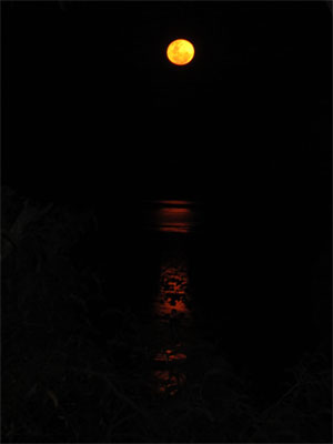 Broome and the Staircase to the Stars | Credits MBrouwer