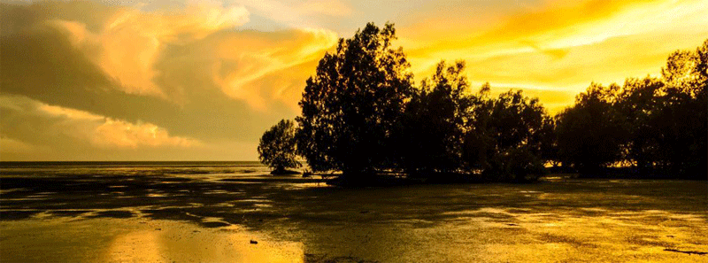 Darwin sunset - relax on Mindel Beach after a 4wd outback adventure.