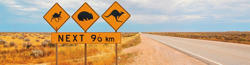 ader-800-Destination being Australia's Nullabor and this road crossing