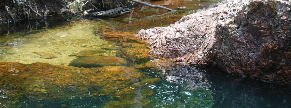 Buley Rockhole Litchfield National Park | Credits RAB