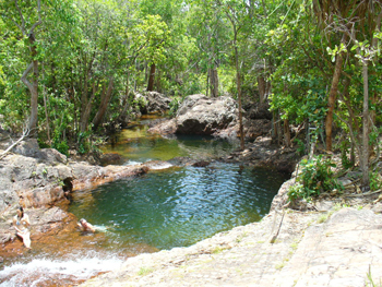 Litchfield National Park | Credits RAB