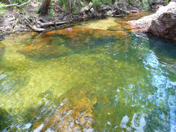 Litchfield National Park | Credits RAB