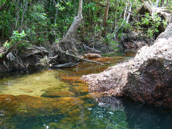 Litchfield National Park | Credits RAB