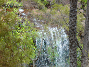 Litchfield National Park | Credits RAB