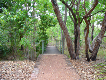 Litchfield National Park | Credits RAB