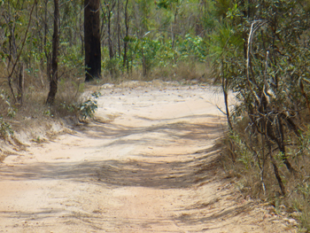 Litchfield National Park | Credits RAB