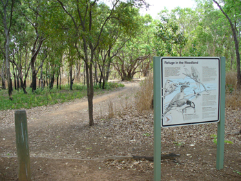 Litchfield National Park | Credits RAB