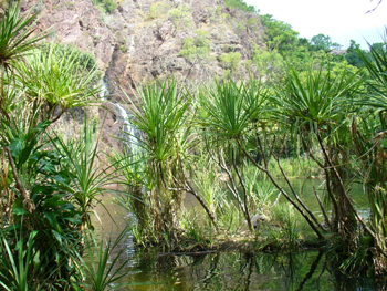 Litchfield National Park | Credits RAB