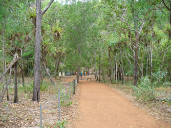 Litchfield National Park | Credits RAB