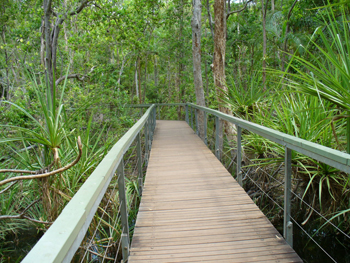 Litchfield National Park | Credits RAB