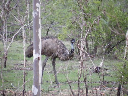 4wd Cairns to Darwin road trip across Australia | Credit Mick Gerom thanks Buddy