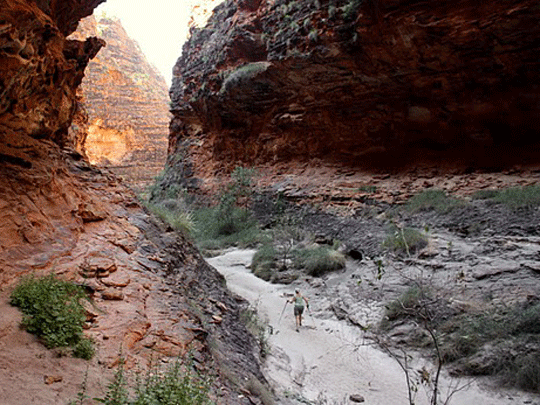 Kimberley Bungle Bungles trip | Credits Afox