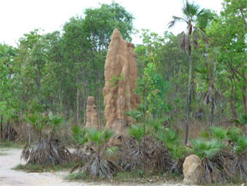 Litchfield National Park | Credits RAB